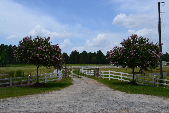 Willow Pond Farm Photo