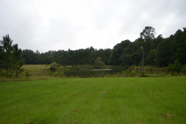 Live Oak Pond Photo