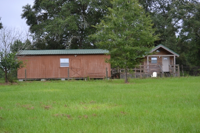 Live Oak Pond Photo