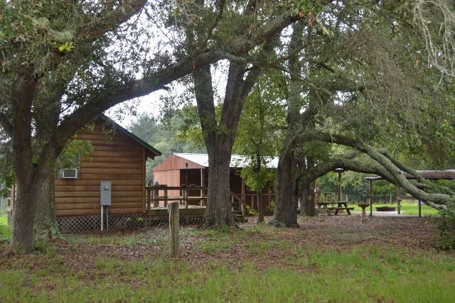 Live Oak Pond Photo