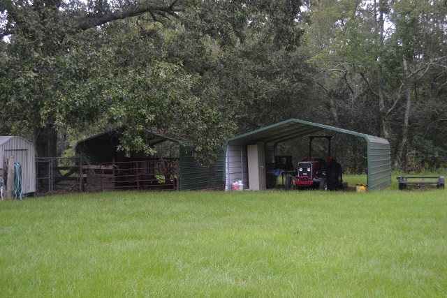 Live Oak Pond Photo