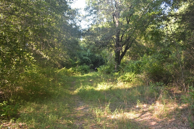 Bellamys Tract 2 Photo