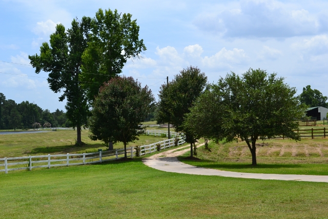 Willow Pond Farm Photo