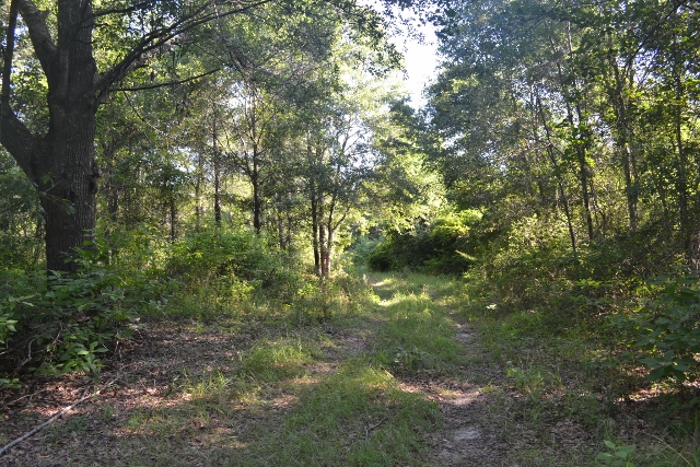 Bellamys Tract 2 Photo