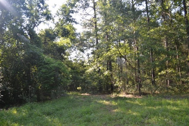 Bellamys Tract 2 Photo