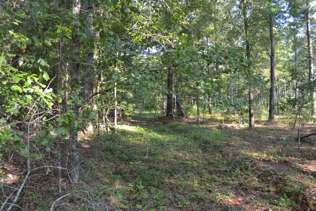 Bellamys Tract 2 Photo