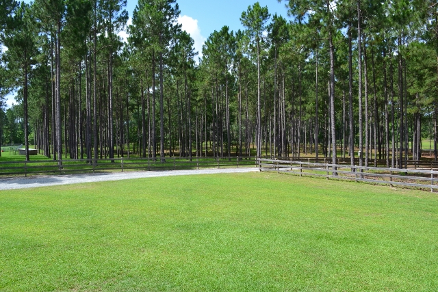 Whistling Pines Photo