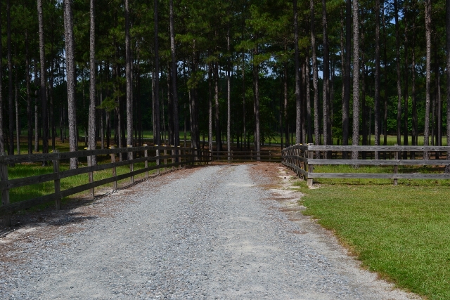 Whistling Pines Photo