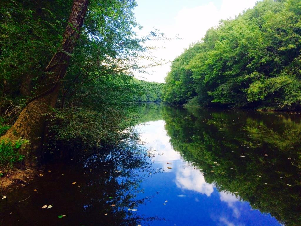 Muller Lake Partnership Photo