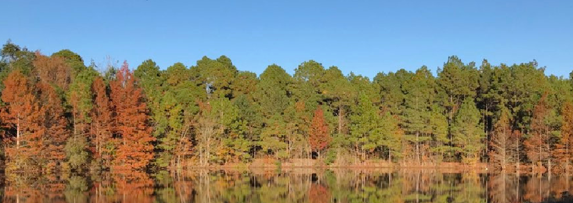 Cedar Creek Cabin Main Photo