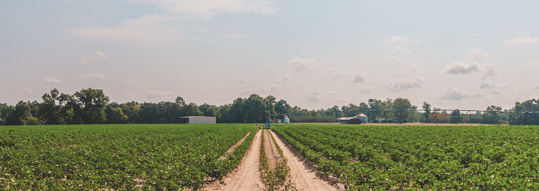 Griffin Landing Farm Main Photo