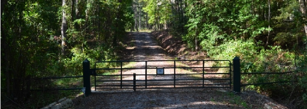 Hall Plantation Photo