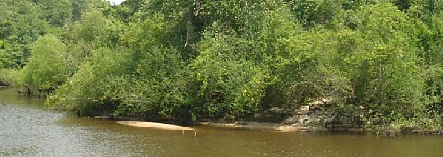 Ogeechee River Retreat Main Photo