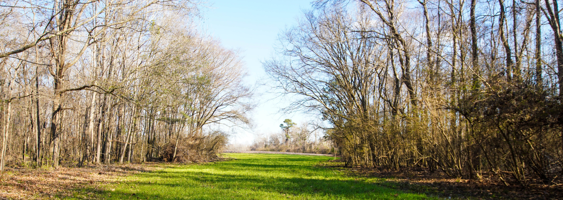 Rogers River Tract Main Photo