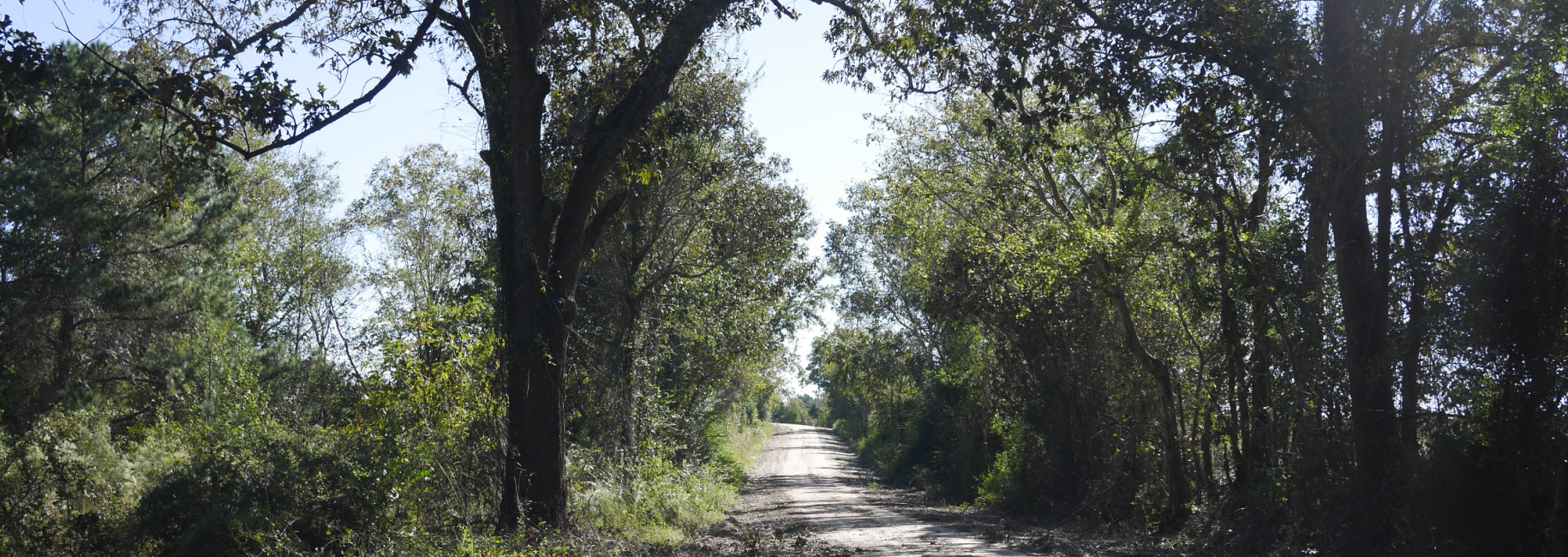 Sonny Allen Rd. Main Photo