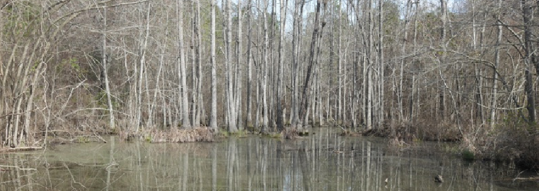 Temple Rd. Acreage Main Photo