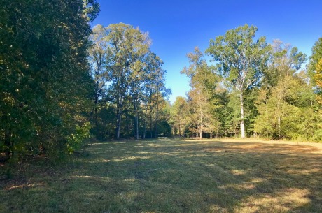 Chapel Branch Tract Photo