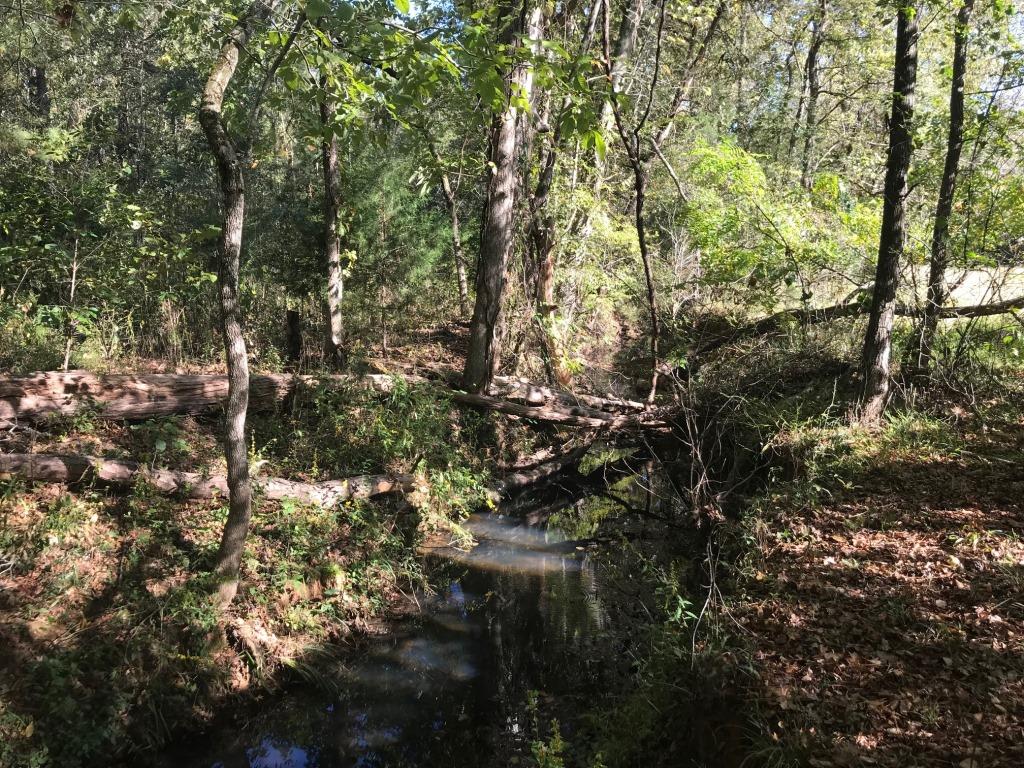 Chapel Branch Tract Photo