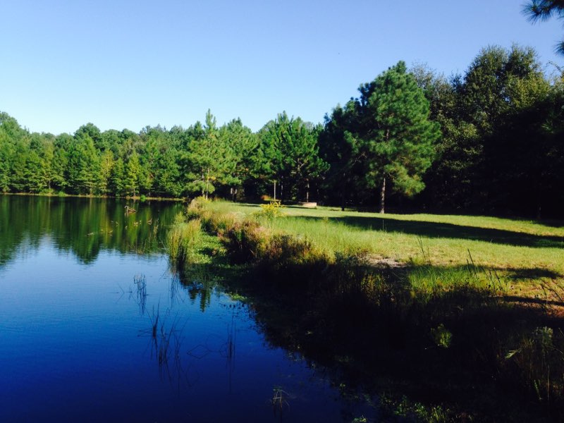 Cedar Creek Cabin Photo