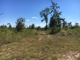 Whitaker Tract Photo