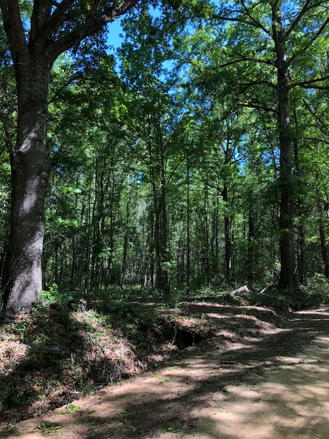 Holland Homeplace Photo