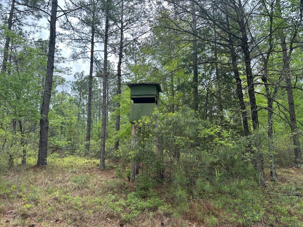 Rocky Knob Retreat Photo