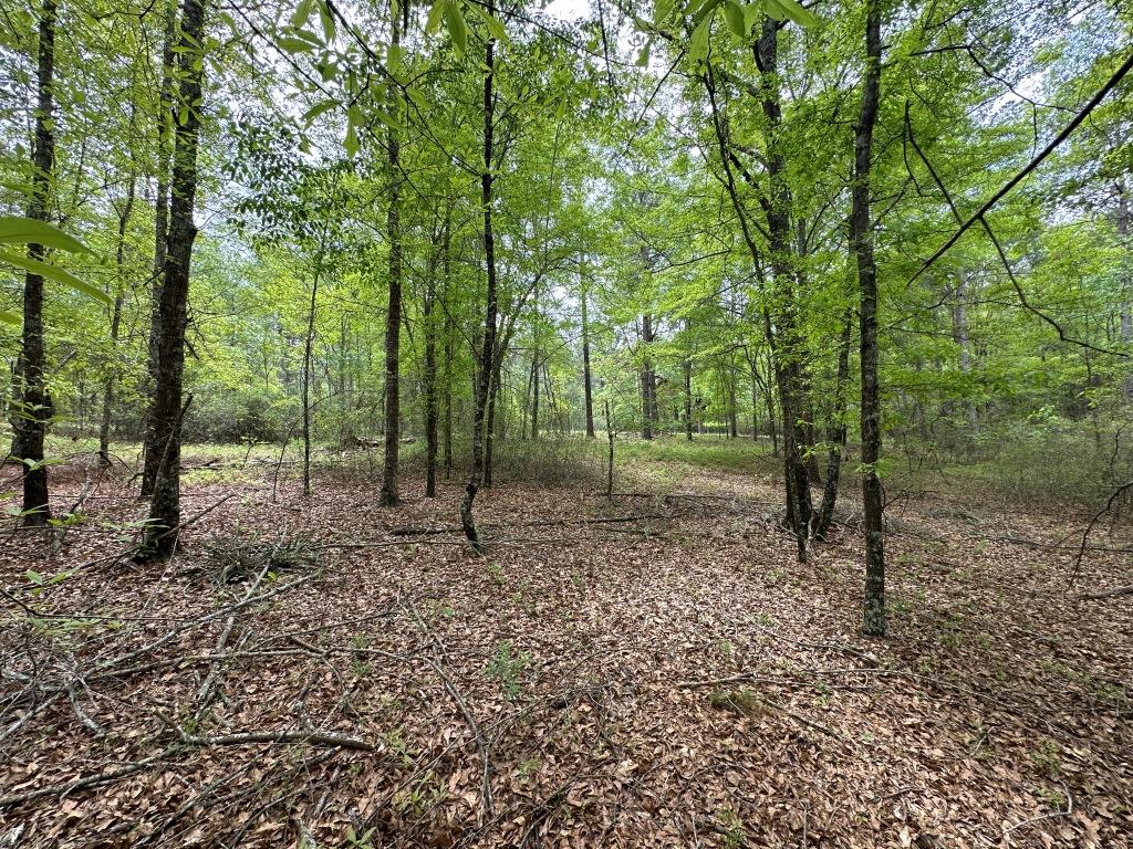 Rocky Knob Retreat Photo