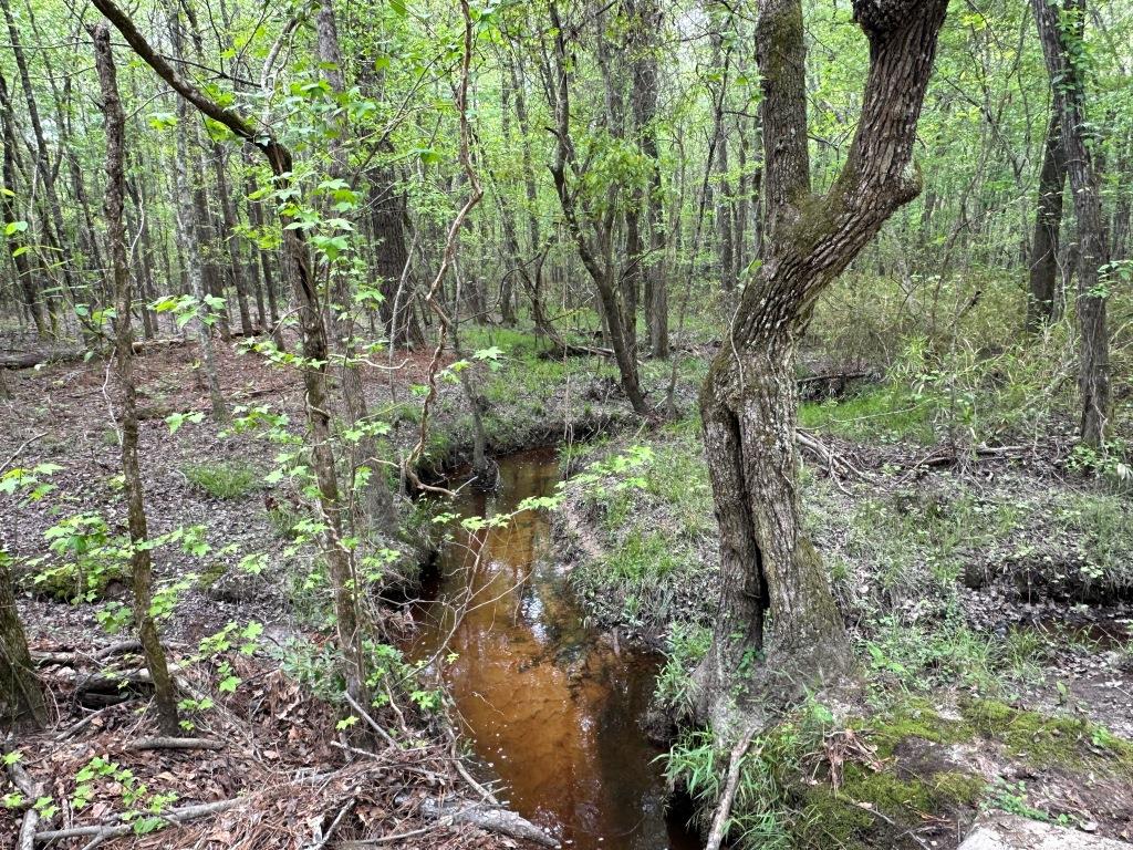 Rocky Knob Retreat Photo