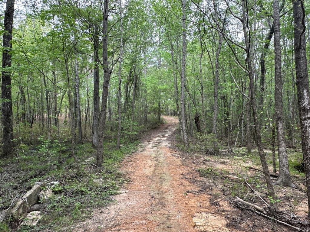 Rocky Knob Retreat Photo