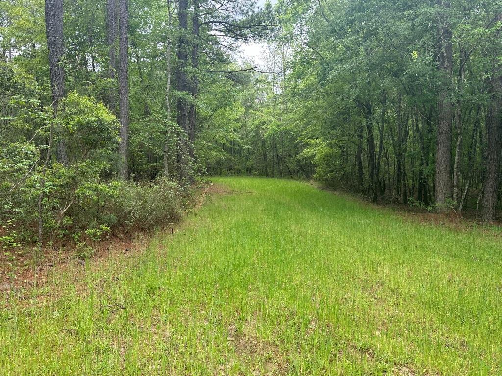 Rocky Knob Retreat Photo