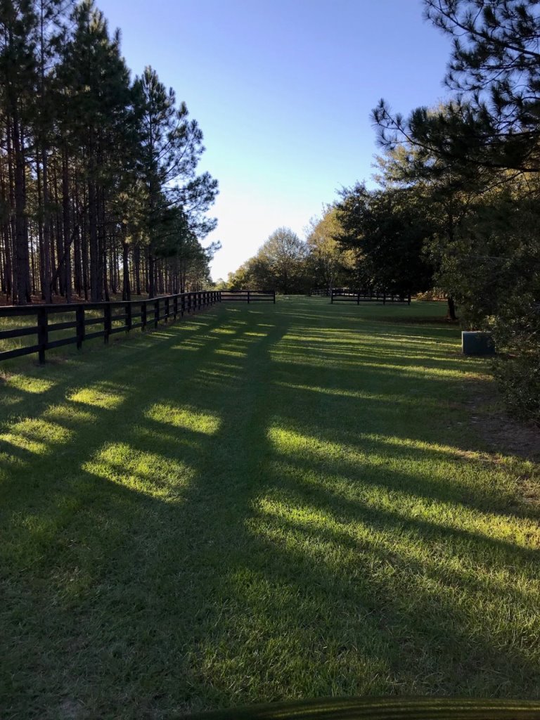 Cedar Creek Cabin Photo