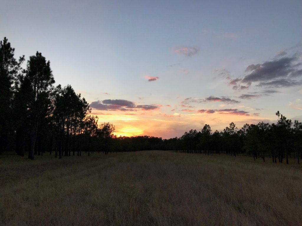 Cedar Creek Cabin Photo