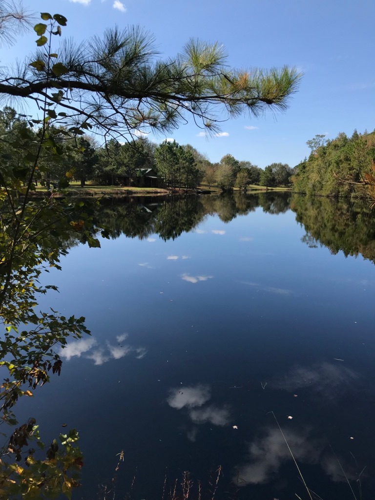 Cedar Creek Cabin Photo