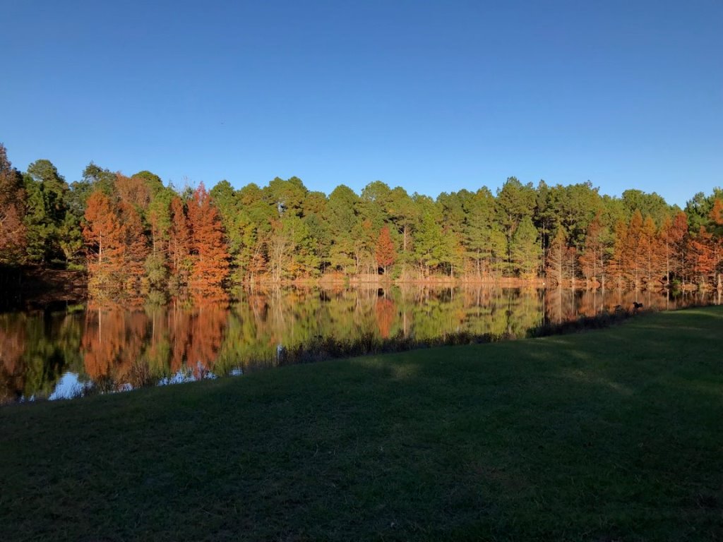 Cedar Creek Cabin Photo