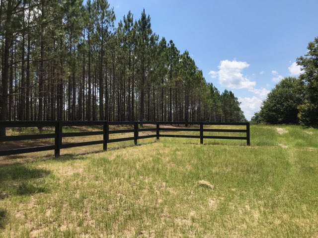 Cedar Creek Cabin Photo