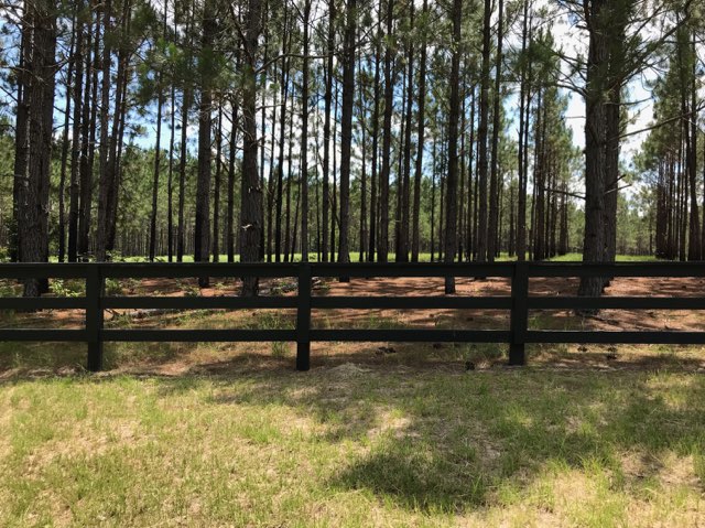 Cedar Creek Cabin Photo