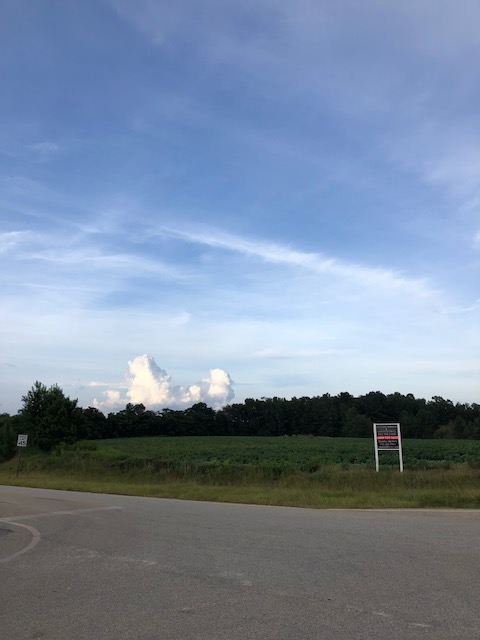 Grady Pond Photo