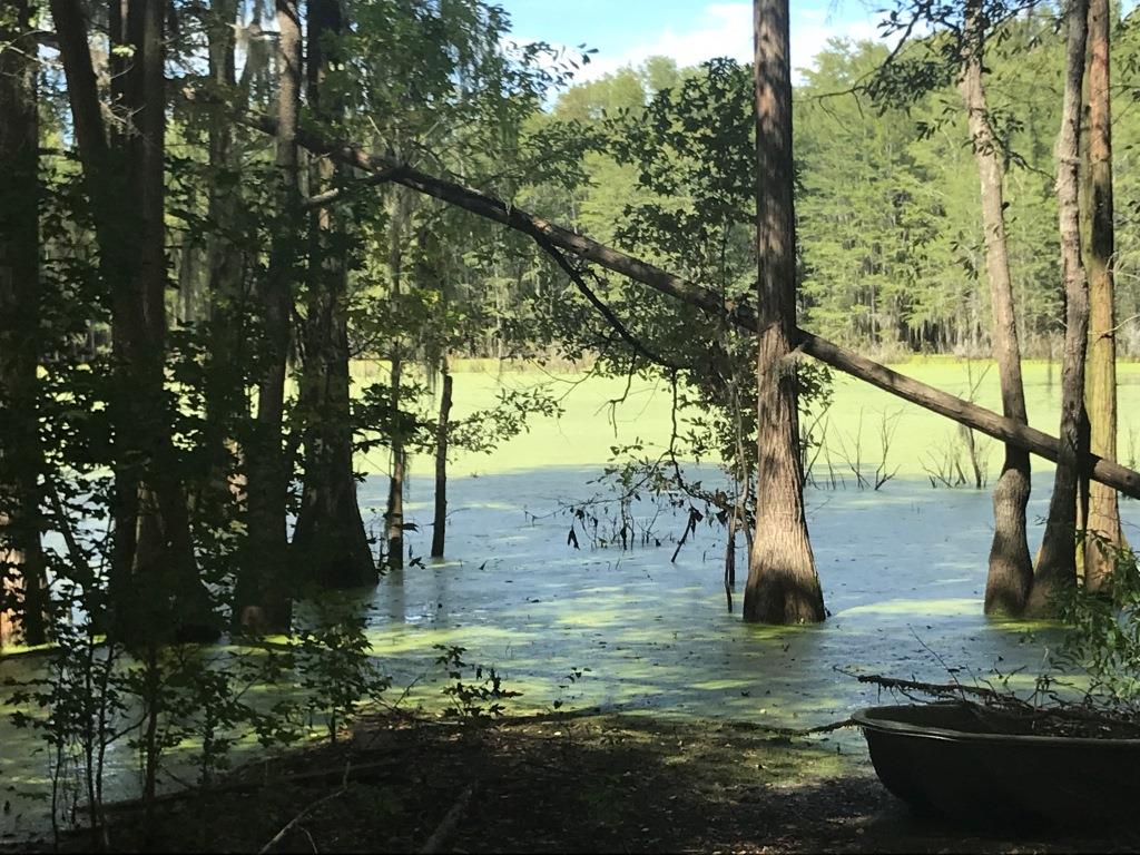 Flat Pond Photo