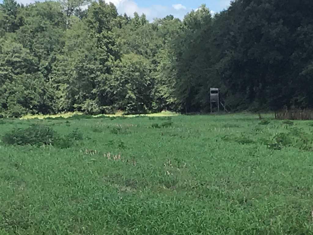 Flat Pond Photo