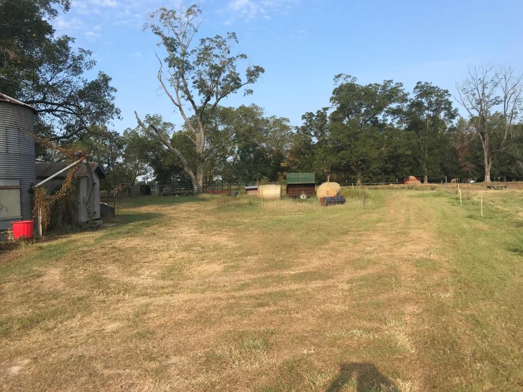 Captain Henderson Farm Photo