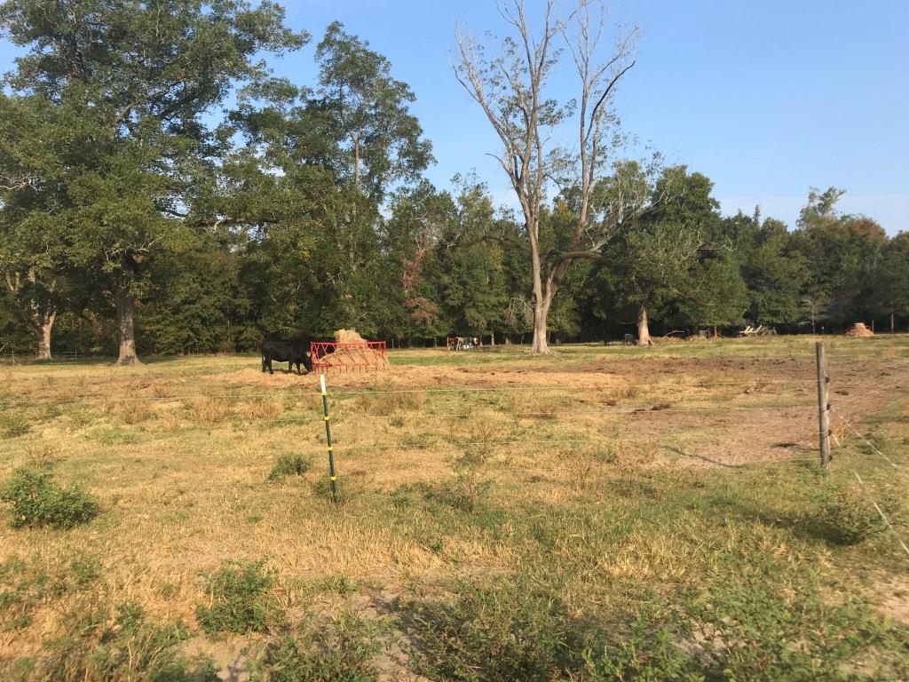 Captain Henderson Farm Photo