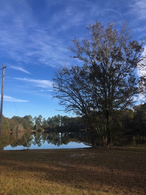 McElveen Pond Photo