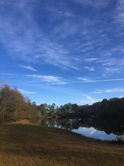 McElveen Pond Photo