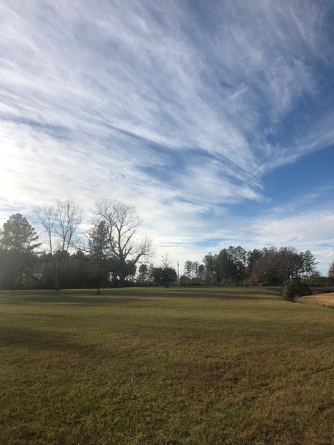 McElveen Pond Photo