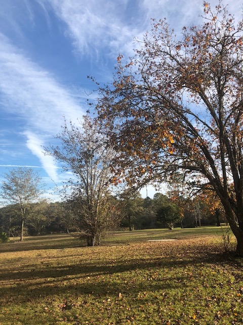 McElveen Pond Photo