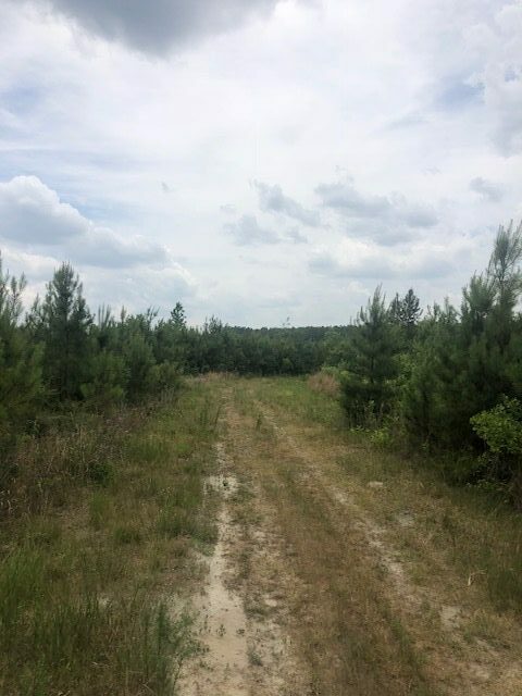 Starr Pond Photo