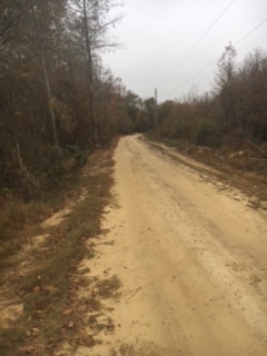 Ogeechee River Retreat Photo