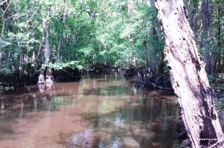 Ohoopee River Tract