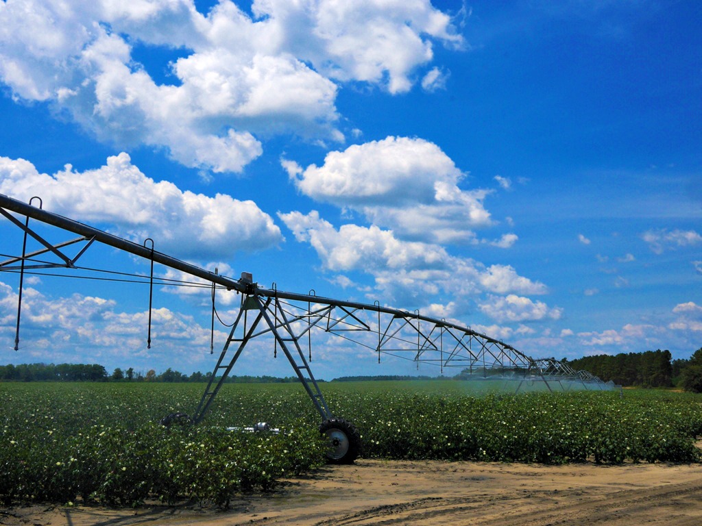 Limesink Farm Photo