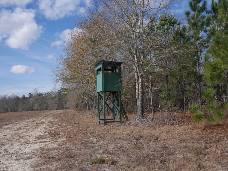 Temple Rd. Acreage Photo